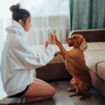Unveiling the Keys to a Wholesome Canine: Crucial Pointers for Dog Smartly-being