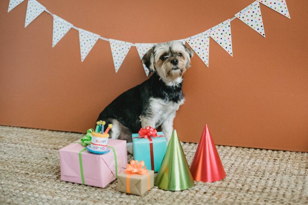 Throwing a Pawsome Party: Unique Dog Birthday Ideas to Celebrate Your Furry Friend