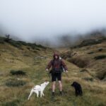 Unleash Adventure: Discover the Best Hiking Trails for Dogs